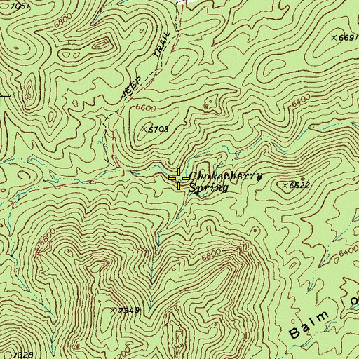 Topographic Map of Chokecherry Spring, NV
