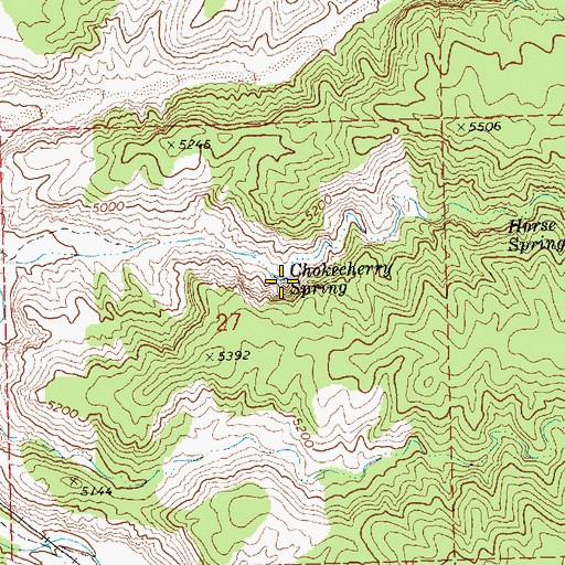 Topographic Map of Chokecherry Spring, NV