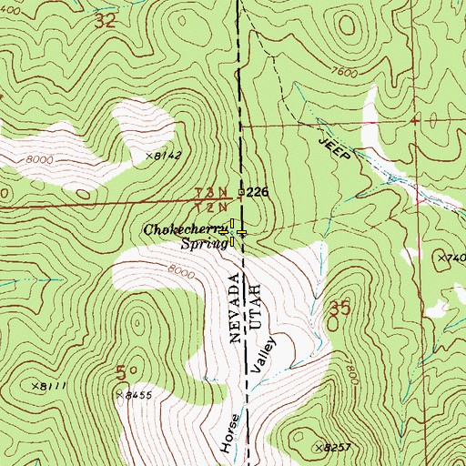 Topographic Map of Chokecherry Spring, NV