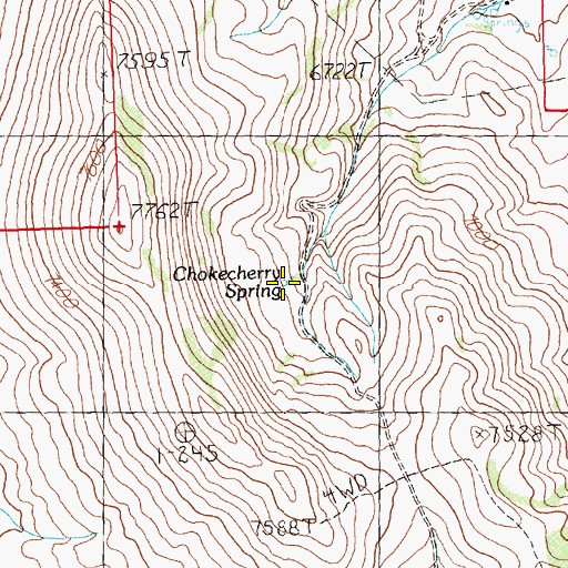Topographic Map of Chokecherry Spring, NV