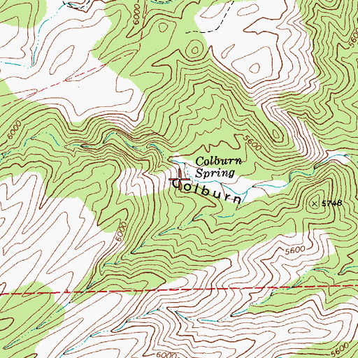 Topographic Map of Colburn Spring, NV