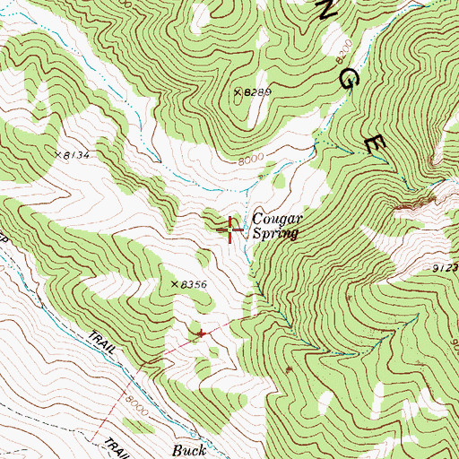 Topographic Map of Cougar Spring, NV