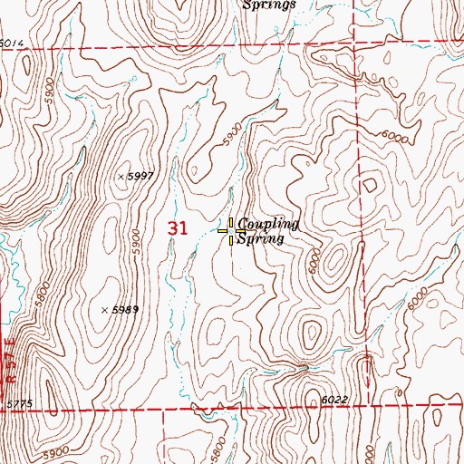 Topographic Map of Coupling Spring, NV