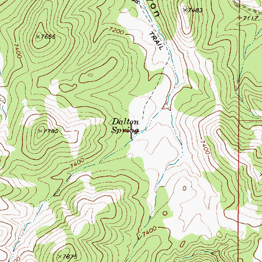 Topographic Map of Dalton Spring, NV