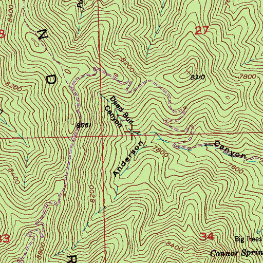 Topographic Map of Dead Bull Canyon, NV