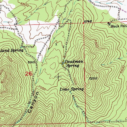 Topographic Map of Deadman Spring, NV