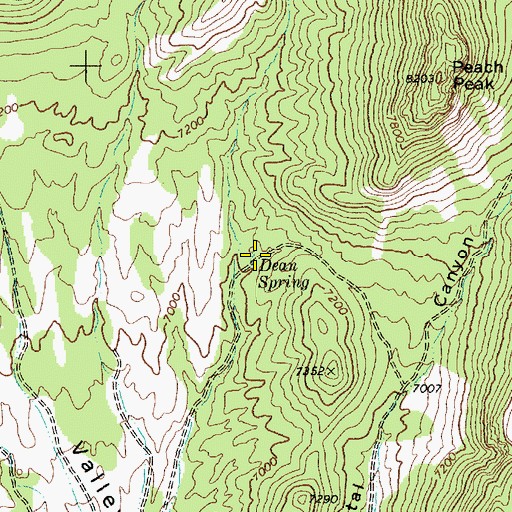 Topographic Map of Dean Spring, NV