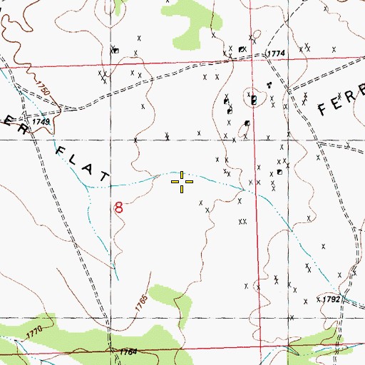 Topographic Map of Ferber Flat, NV