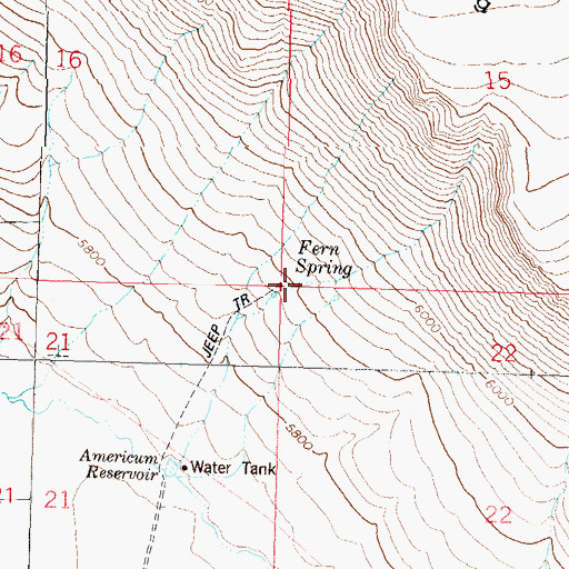 Topographic Map of Fern Spring, NV