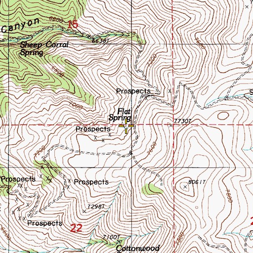 Topographic Map of Flat Spring, NV