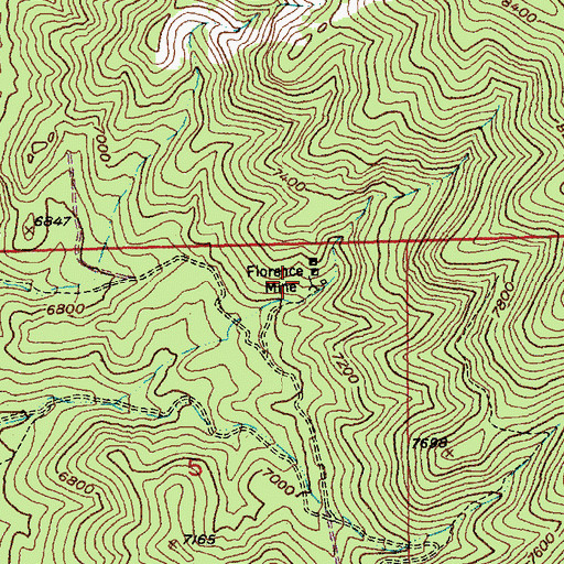 Topographic Map of Florence Mine, NV