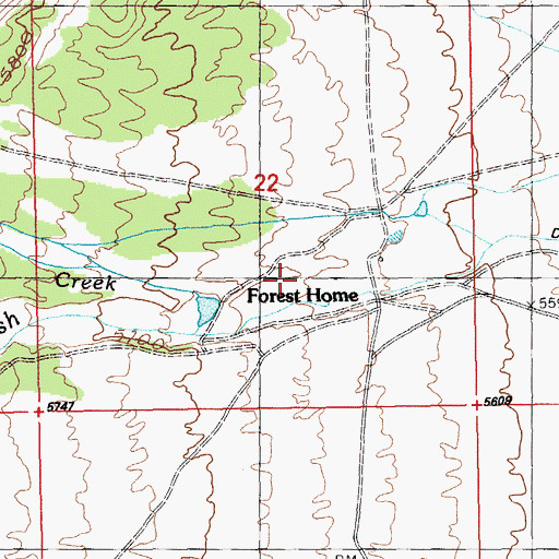 Topographic Map of Forest Home, NV