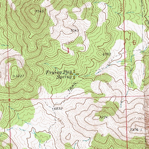 Topographic Map of Frying Pan Spring, NV