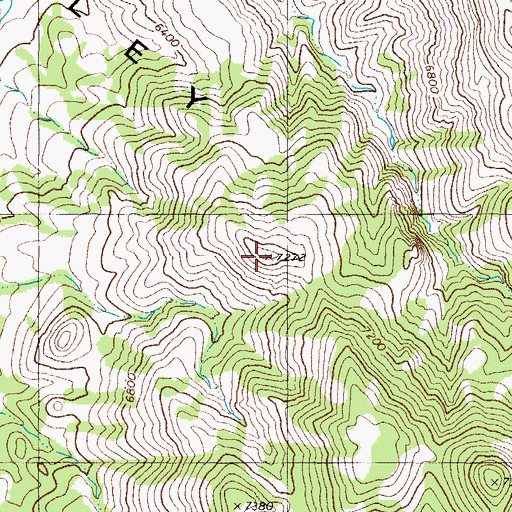 Topographic Map of Gabbs Valley Range, NV