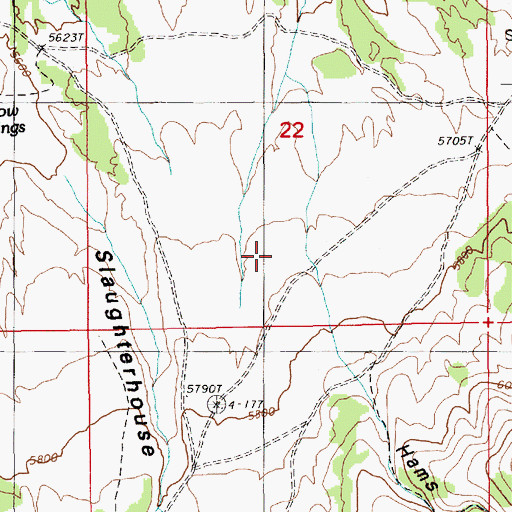 Topographic Map of Hams Canyon, NV