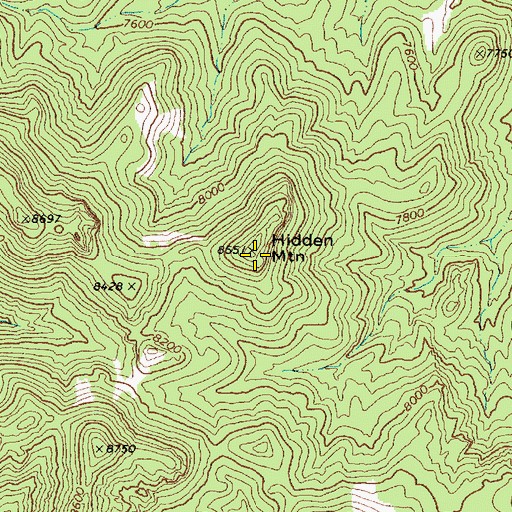 Topographic Map of Hidden Mountain, NV