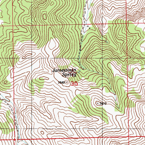 Topographic Map of Jamestown Spring, NV
