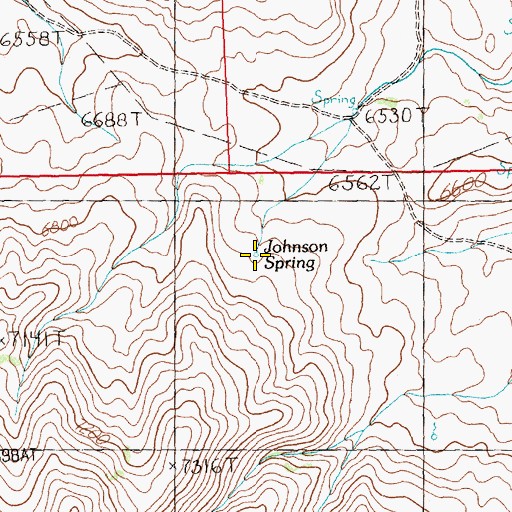 Topographic Map of Johnson Spring, NV