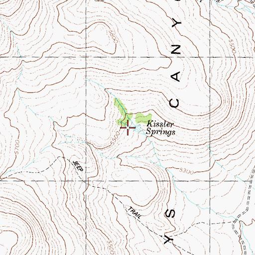 Topographic Map of Kissler Springs, NV
