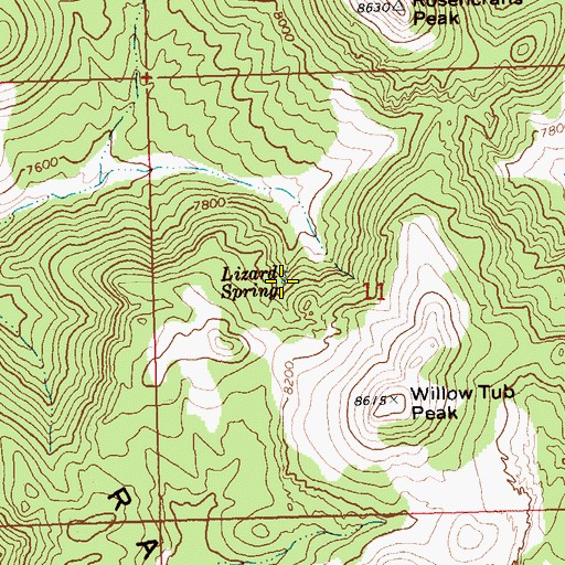 Topographic Map of Lizard Spring, NV