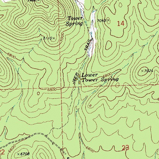 Topographic Map of Lower Tower Spring, NV