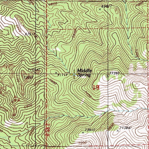 Topographic Map of Middle Spring, NV