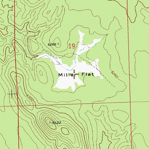 Topographic Map of Miller Flat, NV