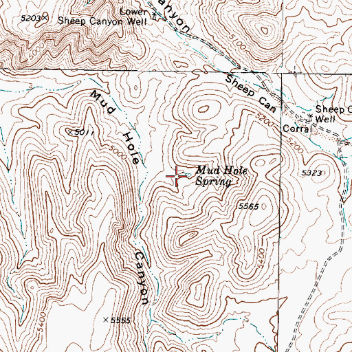 Topographic Map of Mud Hole Spring, NV