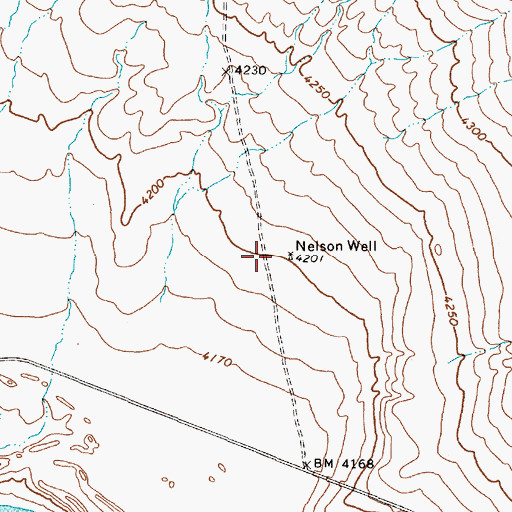 Topographic Map of Nelson Well, NV