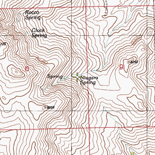 Topographic Map of Niagara Spring, NV