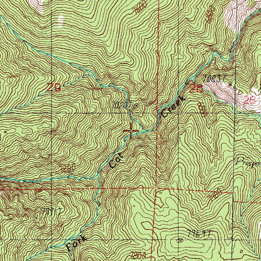 Topographic Map of North Fork Cat Creek, NV