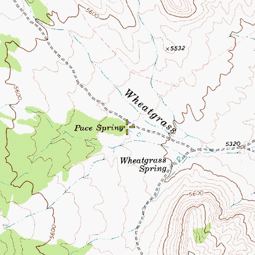 Topographic Map of Pace Spring, NV
