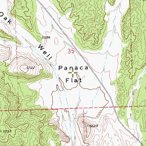 Topographic Map of Panaca Flat, NV