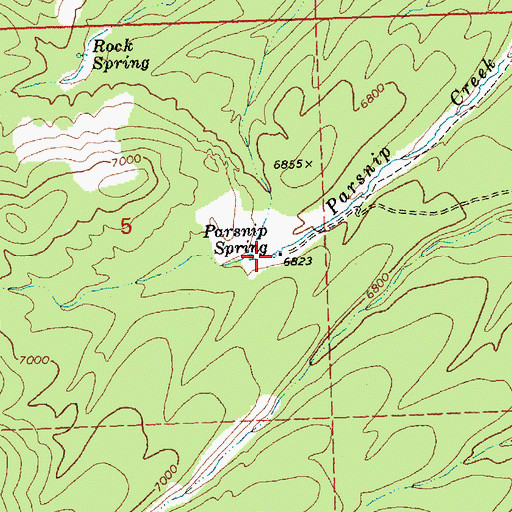 Topographic Map of Parsnip Spring, NV