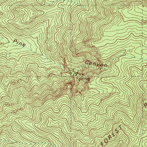 Topographic Map of Pine Spring, NV