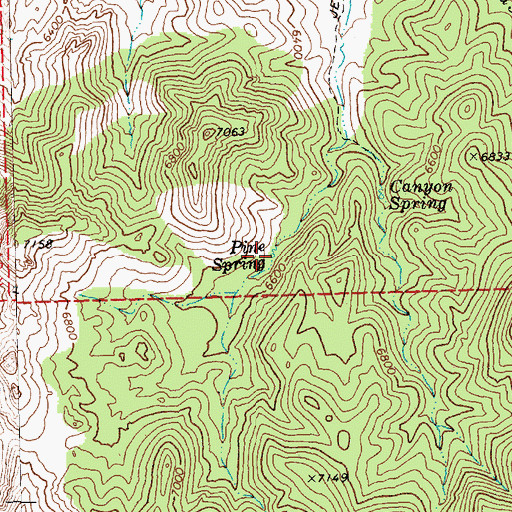 Topographic Map of Pine Spring, NV