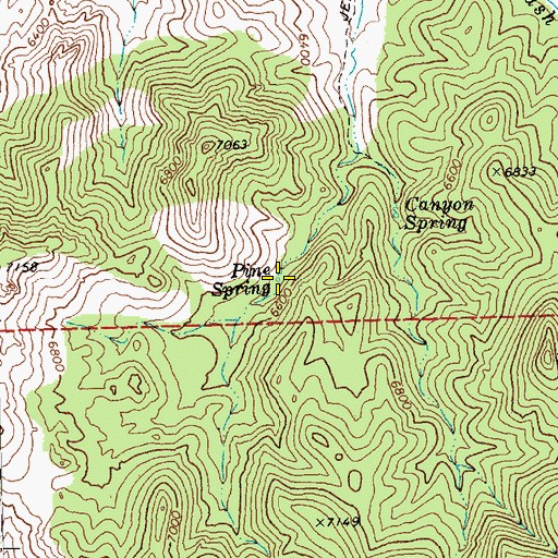 Topographic Map of Pine Spring, NV