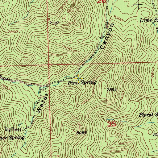 Topographic Map of Pine Spring, NV
