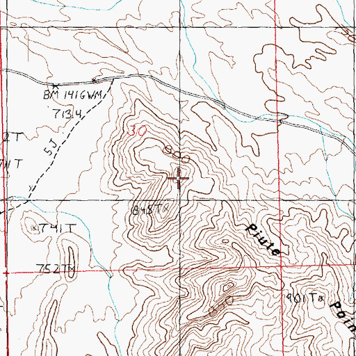 Topographic Map of Piute Point, NV