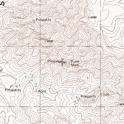 Topographic Map of Puelz Mine, NV