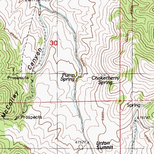 Topographic Map of Pump Spring, NV