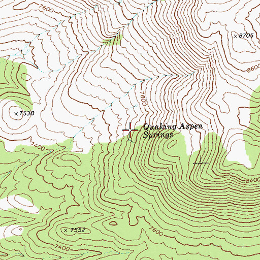Topographic Map of Quaking Aspen Springs, NV