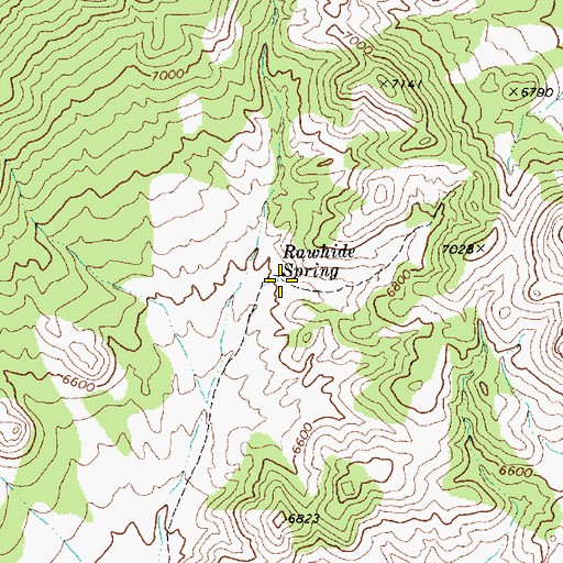 Topographic Map of Rawhide Spring, NV