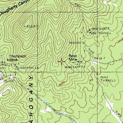 Topographic Map of Rose Mine, NV