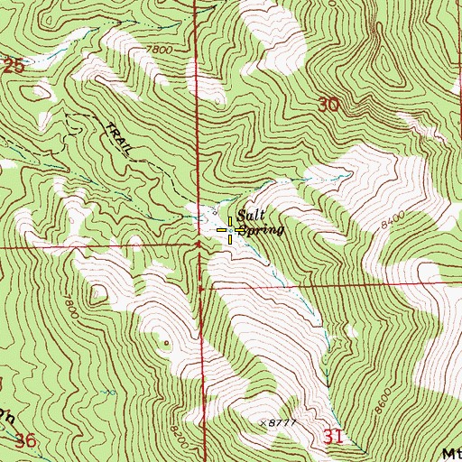 Topographic Map of Salt Spring, NV