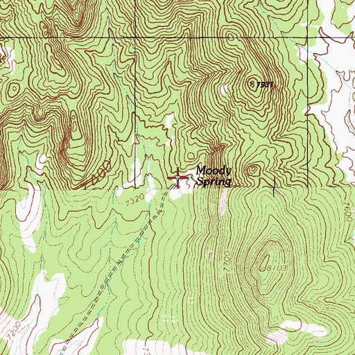 Topographic Map of Moody Spring, NV