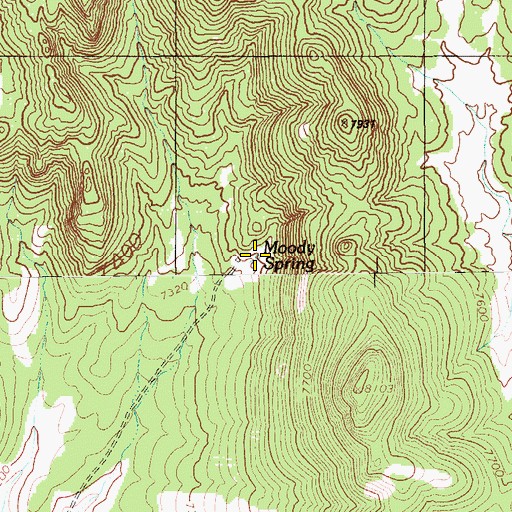 Topographic Map of Moody Spring, NV