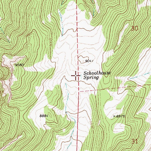 Topographic Map of Schoolhouse Spring, NV