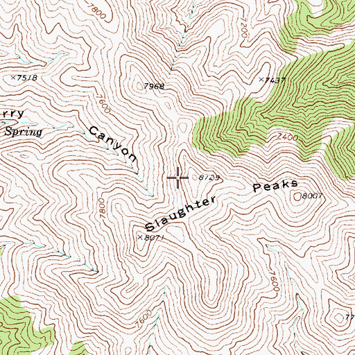 Topographic Map of Slaughter Peaks, NV