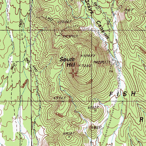 Topographic Map of South Hill, NV